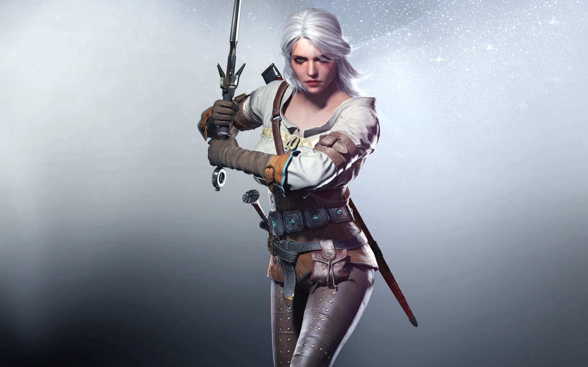 The Witcher 3 Wild Hunt Alternative Looks For The Characters 